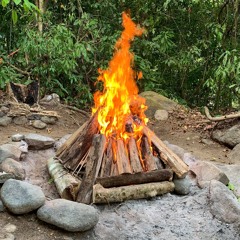 236 - SIENTO EL FUEGO