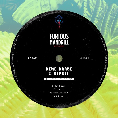Rene Raabe & Biroll - Turn Around [FEP011]