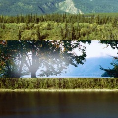 Movies Like Free Willy