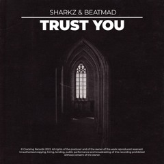 SHARKZ & Beatmad - Trust You (Original Mix)