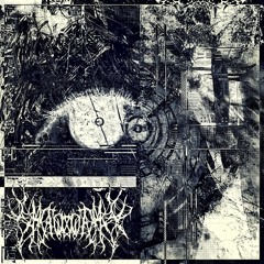 Whispers of The Void
