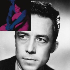 Albert Camus X Not Allowed