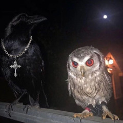 P-Star + Thouxantos