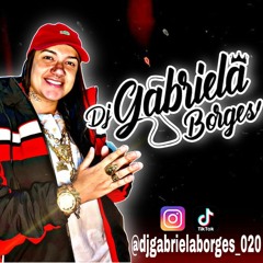 ELA VEM DA SUL SOBE O MORRO PRA SENTAR - (DJ GABRIELA BORGES) TIK TOK