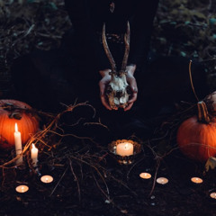 Samhain - A Spooky Jungle Celebration