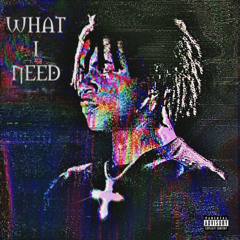What I Need