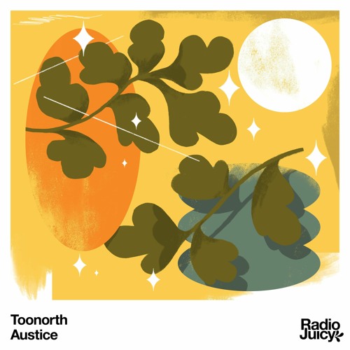 Toonorth - Austice