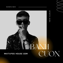 Nét Đẹp Lounge Động Vol 2 - Shen mix