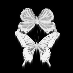 V.I.D x Butterfly Ft. FluV Demo Unofficial
