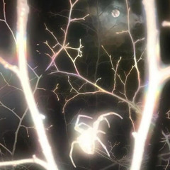breakthrough (prod. shango)