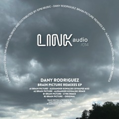 Dany Rodriguez - "Brain Picture (Alexander Kowalski Remix)" (LINK Audio)