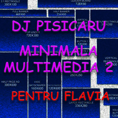 MINIMALA MULTIMEDIA 2