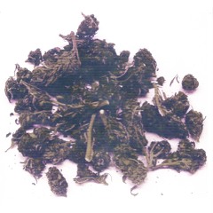 Proibito Dub (Skatepark Weed Mix)