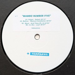 Premiere | Kalani - Splash (TERRAZZOO5)