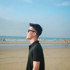 Người Lạ Thoáng Qua cover