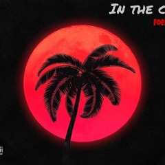 Foe5 Flex X Li Arti - In The Car