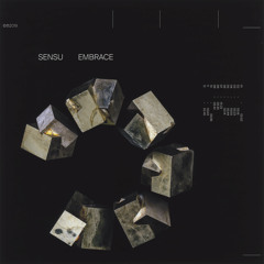 Moonlight Lemonade (feat. Benjamin Amaru)