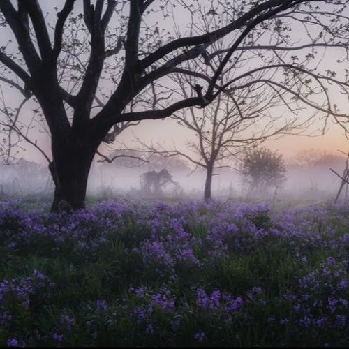 another chance (xtasane + axry)