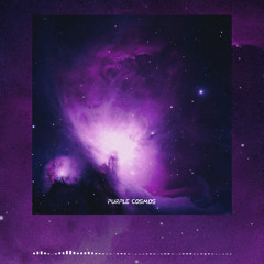 Purple Cosmos