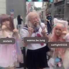 cat fight + zxtr + wannabe - whats duh question ( ˶°ㅁ°) (cat fight)