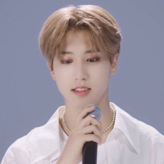 stray kids — secret secret