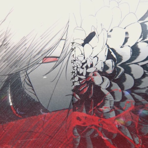 additional memory (cover)