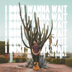 I Don't Wanna Wait