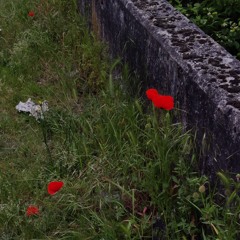 i won't ever be her again