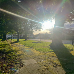 Path of Sun