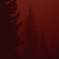 Ambers of the red forest- Commodus of Rome
