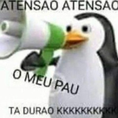 MC GW E MR BIM - EU QUE SABOTEI AS COCOTA KKK FELICIDADE.prod