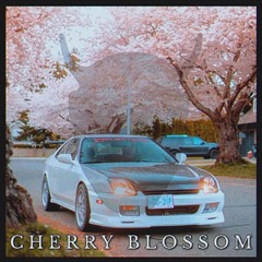 HOLK an prob.kkasper  - CHERRY BLOSSOM (CHECK DESC)