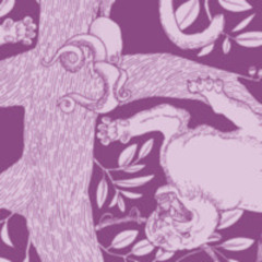 Distropical - Mzungu Mix