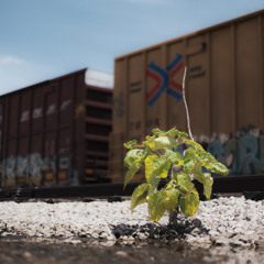 Silver Linings (feat. Macho) Prod by NB Collective