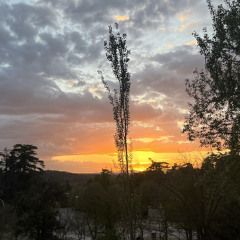 if this is it now (cover)