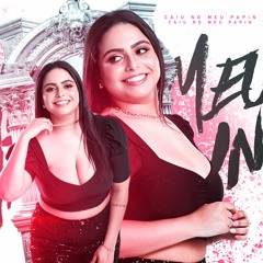 MEGA FUNK CAIU NO MEU PAPIN | DJ EMILLY TAVARES