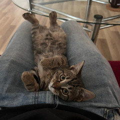 Ce Bine (Voice made with Suno AI)