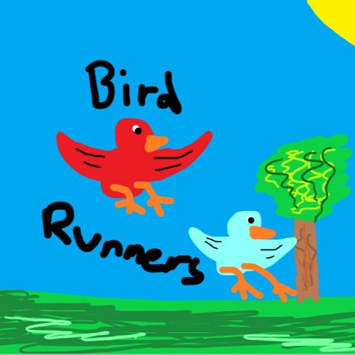 birds runners