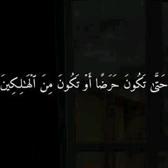 القارئ حسين العزام سورة يوسف