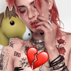 sorry stupid horse (i love you)