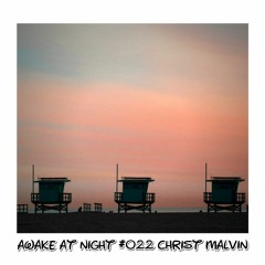 Awake at Night Podcast #022 Christ Malvin