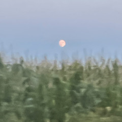 13 - Audio 0001 [2021 - 06 - 27 223807]