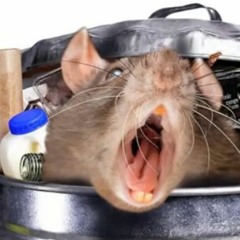 ratata (ellee grim remix)