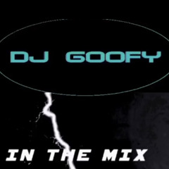 Dj Goofy in the mix