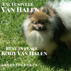 Exclusively Van Halen NEWS LIVE! Rest in peace Kody Van Halen 12/19/23