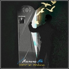 Asemone Abi (TzT x Rose)