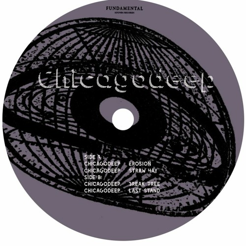 Chicagodeep- The Trax Exhibition EP //  FDS 003 // 12 inch