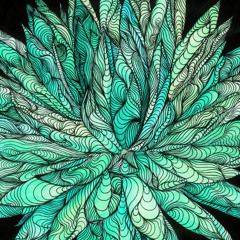 Soul Soother (Bush Session 1)