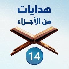 هدايات من الأجزاء 14 | الجزء الرابع عشر - د.رامي النحراوي