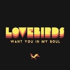 Lovebirds - want you in my soul remix - Huck Finn